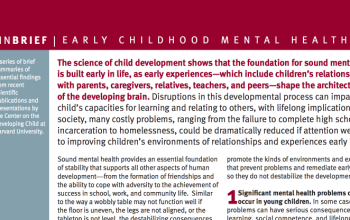 Early Childhood Mental Health InBrief