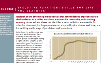 Executive Function InBrief