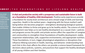 Foundations of Lifelong Health InBrief