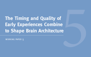 the brain architecture game center on the developing child at harvard university