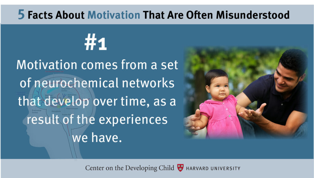 ive quick facts about motivation that are frequently misunderstood