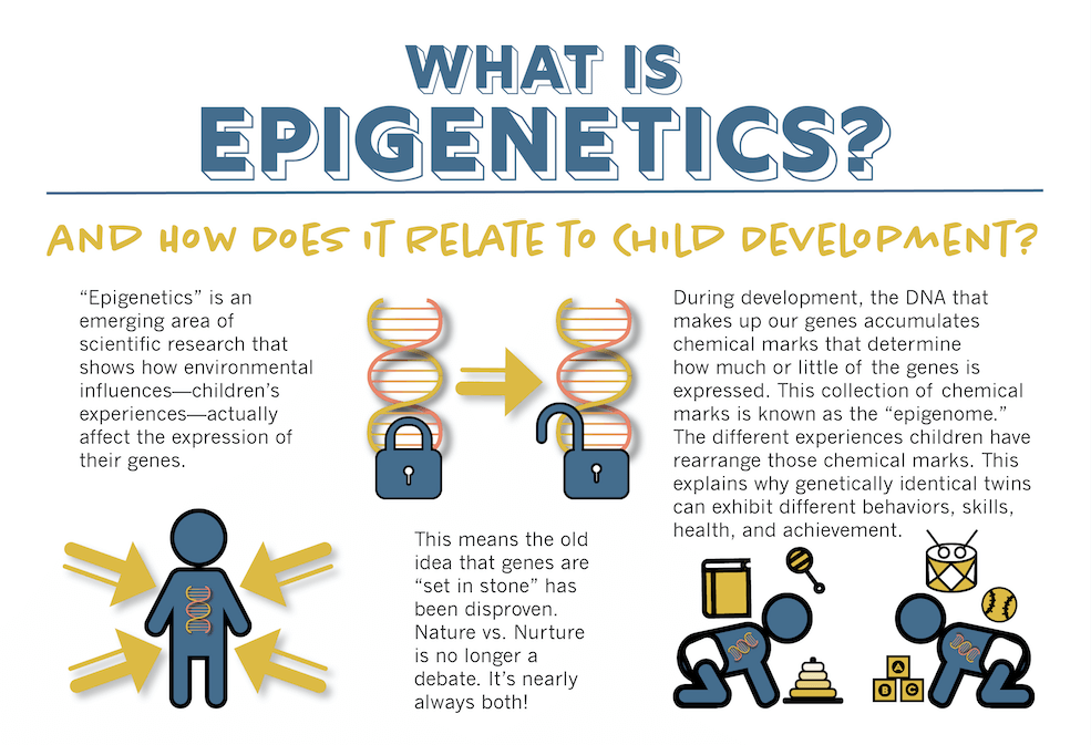 What is Epigenetics? The Answer to the Nature vs. Nurture Debate