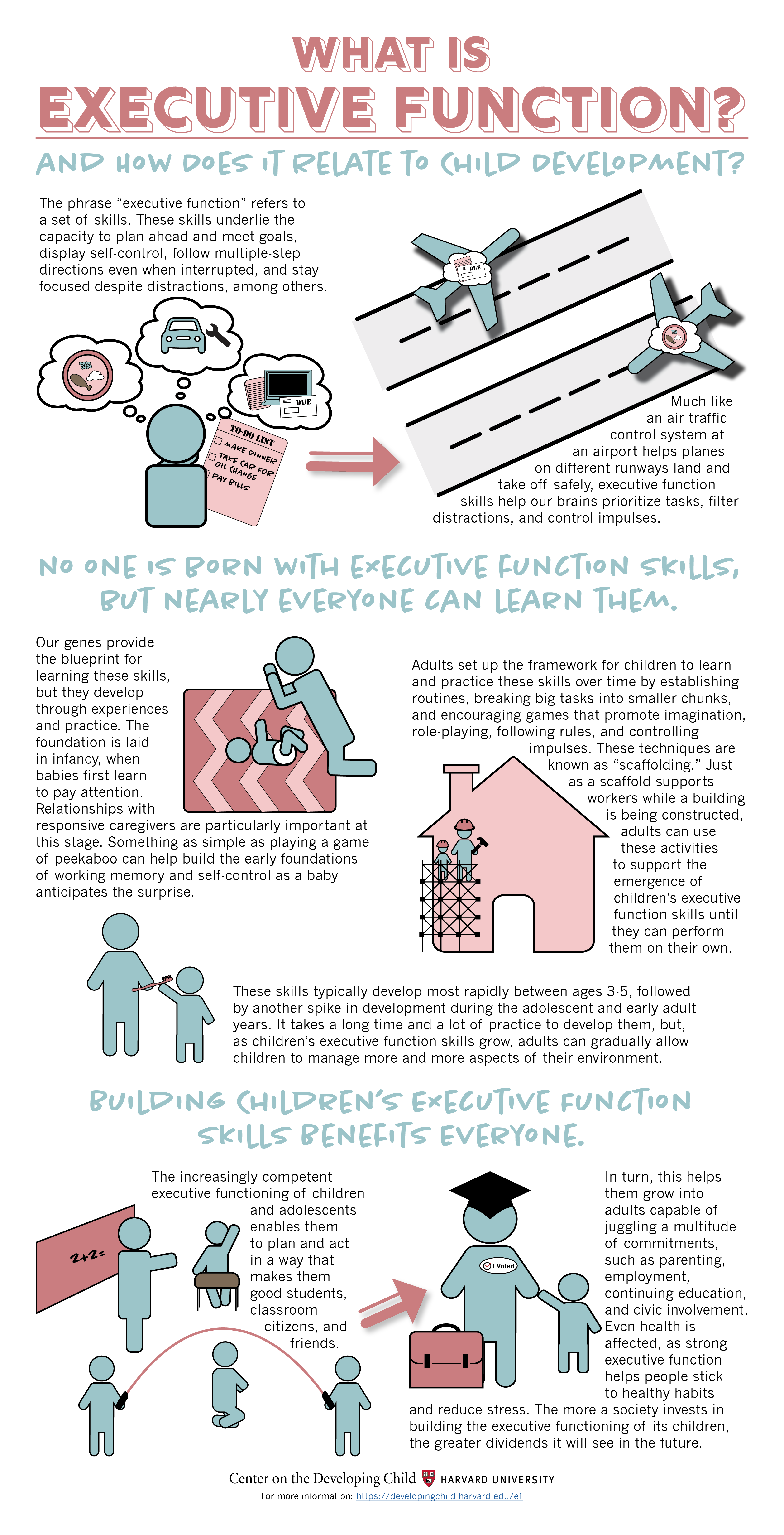 What is executive function? infographic