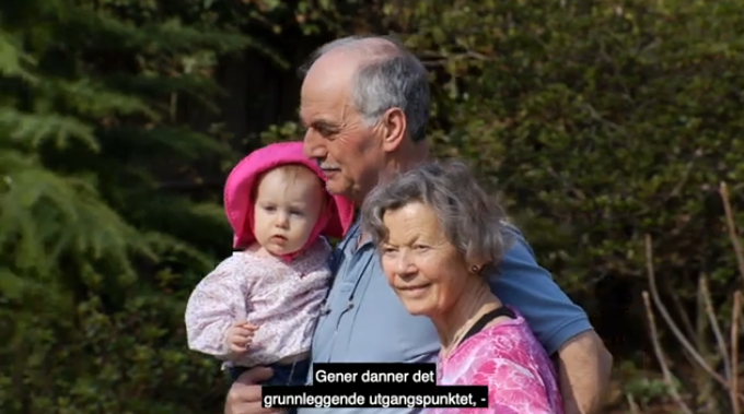 Grandparents walking, the grandfather is carrying the young granddaughter