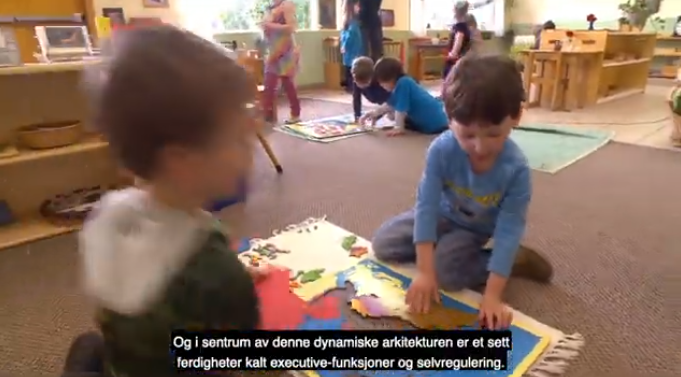 Two boys playing together with a puzzle