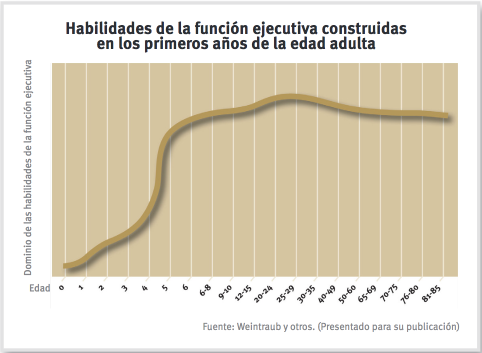 Habilidades de la función ejecutiva construidas en los primeros años de la edad adulta