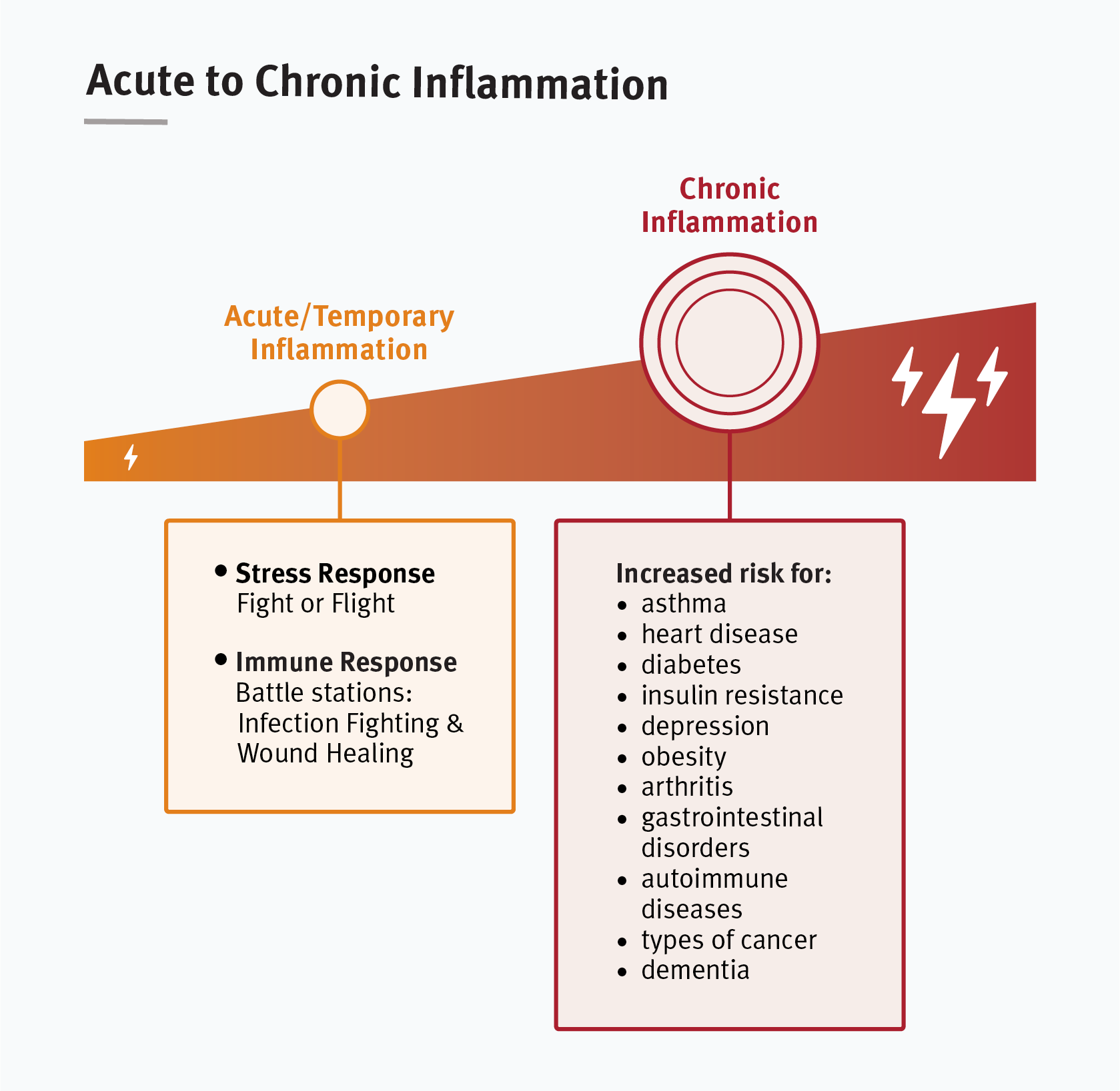 Graphic showing the health care concerns related to chronic inflammation