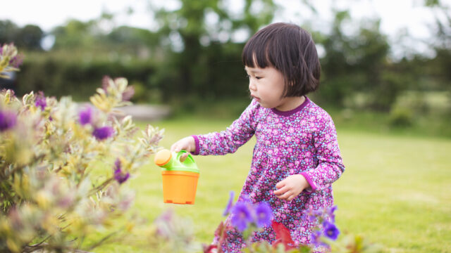 A toddler girl playing in a garden in her yard.