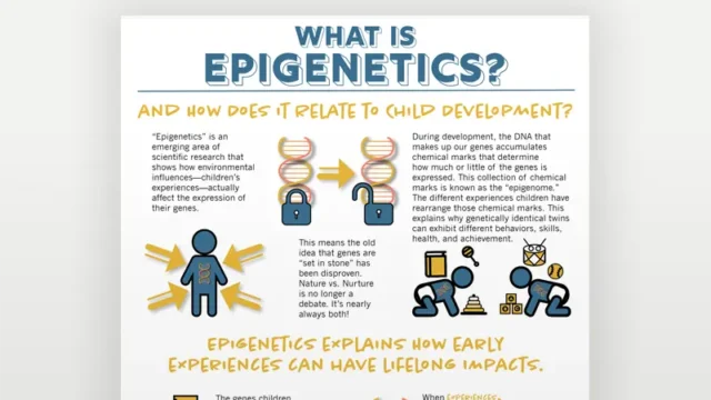 Epigenetics and Child Development infographic.