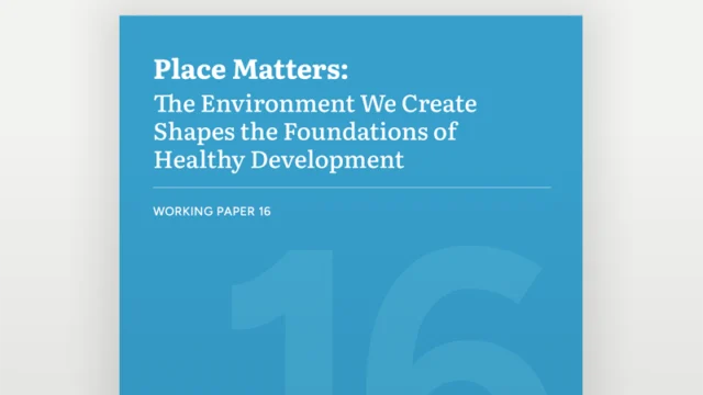 Cover of Working Paper 16: Place Matters.