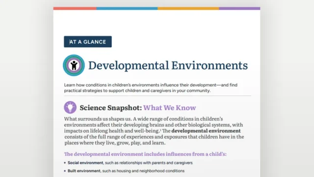 developmental environments at a glance.